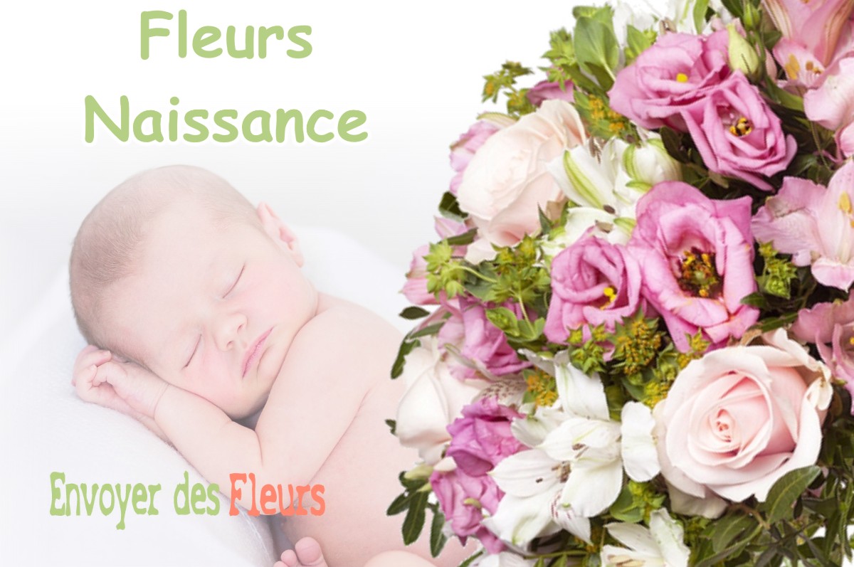 lIVRAISON FLEURS NAISSANCE à IZE